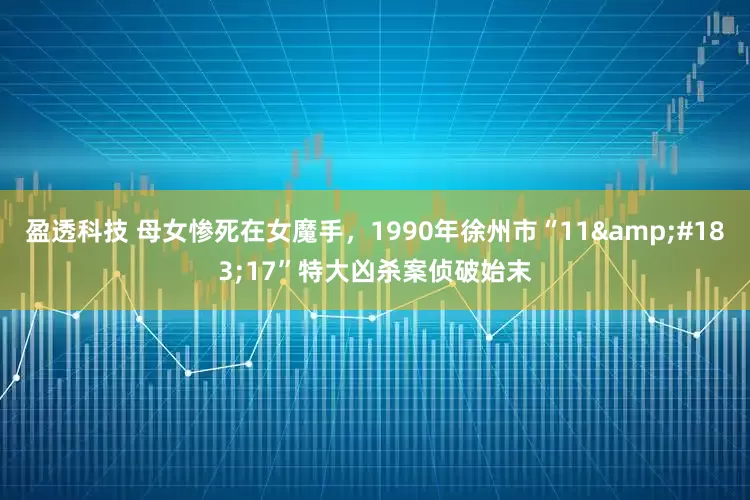 盈透科技 母女惨死在女魔手，1990年徐州市“11·17”特大凶杀案侦破始末