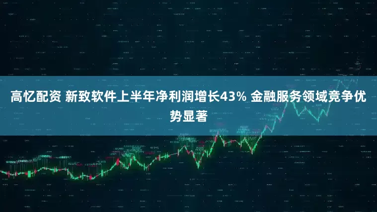 高忆配资 新致软件上半年净利润增长43% 金融服务领域竞争优势显著