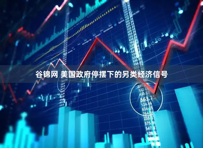 谷锦网 美国政府停摆下的另类经济信号