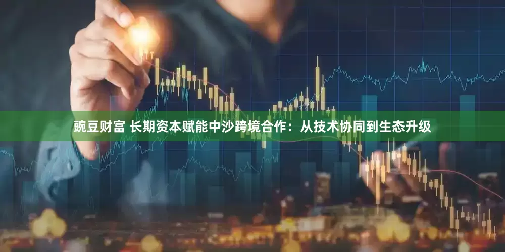豌豆财富 长期资本赋能中沙跨境合作：从技术协同到生态升级